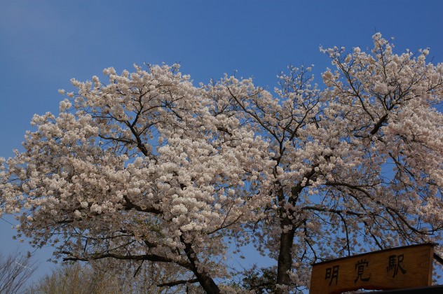 f0040525_2057787.jpg