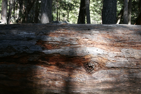 e0089826_21322122.jpg