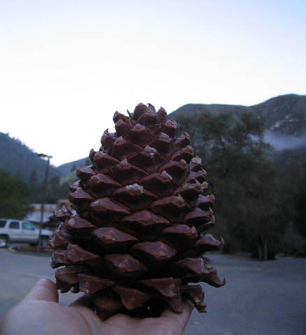 e0089826_21351026.jpg