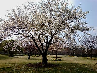c0110930_1194821.jpg