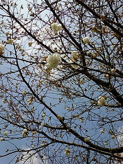 c0110930_1205087.jpg