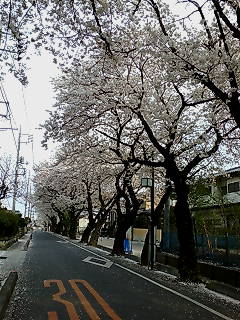c0110930_22535764.jpg