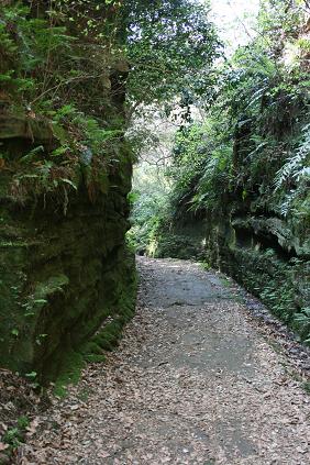 b0083431_10273310.jpg