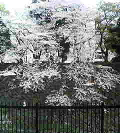 e0025433_22455528.jpg