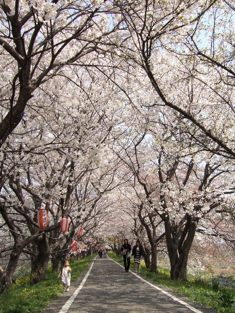 e0064133_020248.jpg