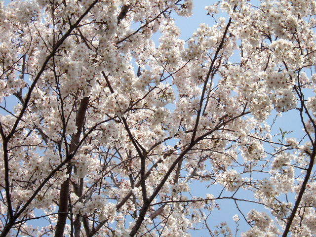 e0064133_0204673.jpg