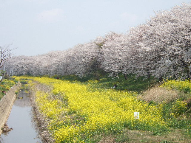 e0064133_0212895.jpg