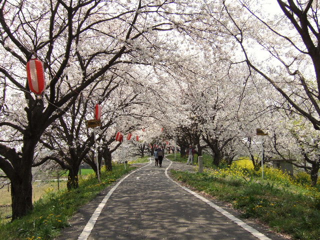 e0064133_0275742.jpg