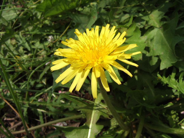 e0064133_0311660.jpg