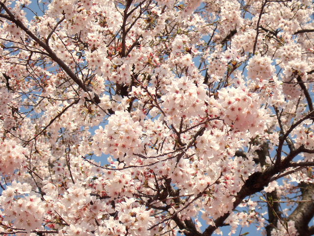 e0064133_2020368.jpg