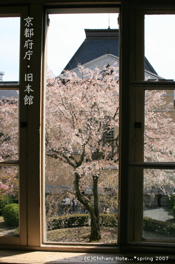 c0046340_0313385.jpg