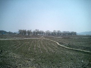b0060042_23362567.jpg