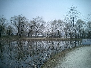 b0060042_2337417.jpg