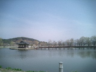 b0060042_23384157.jpg