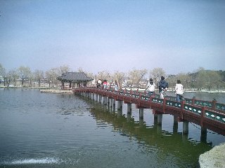 b0060042_2339177.jpg