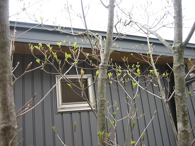 e0051142_7113930.jpg