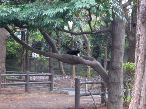 e0058443_23315081.jpg