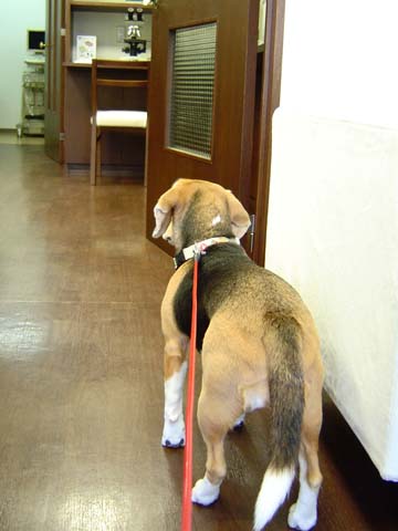a0042044_1573911.jpg