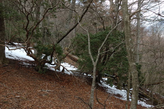 f0030644_15226100.jpg