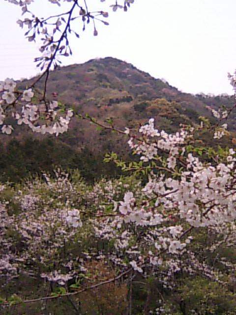 b0033247_22233785.jpg