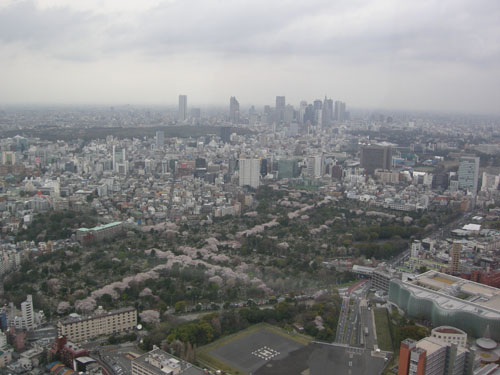 b0006449_12273392.jpg