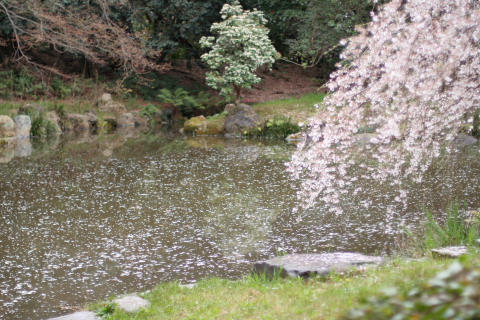 a0024250_22572524.jpg