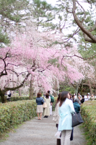 a0024250_22592739.jpg