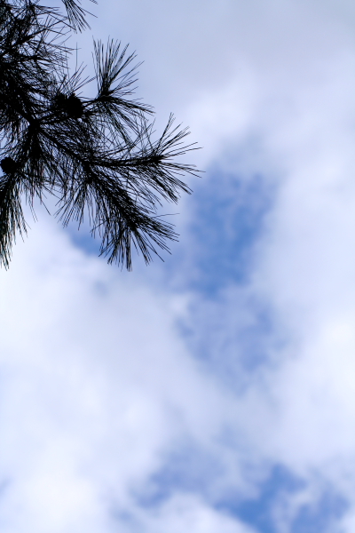 a0024250_22593720.jpg