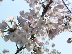 b0054956_21425363.jpg