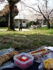 b0054956_2144094.jpg