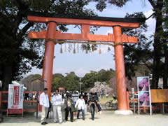 b0054956_21552429.jpg