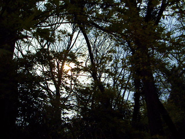 c0031856_23193128.jpg