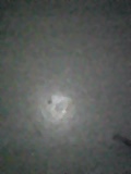 d0007957_1173491.jpg