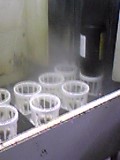 d0007957_134935.jpg
