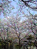 d0007957_2323418.jpg