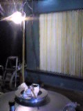 d0007957_23344521.jpg