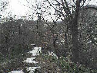 a0004359_1123044.jpg