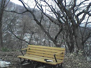 a0004359_2011361.jpg
