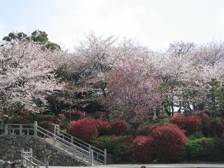 d0034659_22491779.jpg