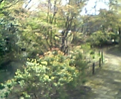 a0055362_2111881.jpg