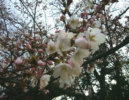 f0057565_1214152.jpg