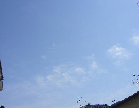 f0057565_1234722.jpg
