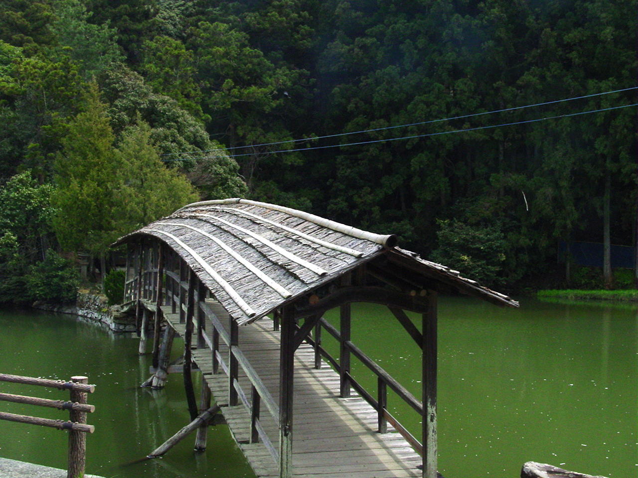 d0039766_20502760.jpg