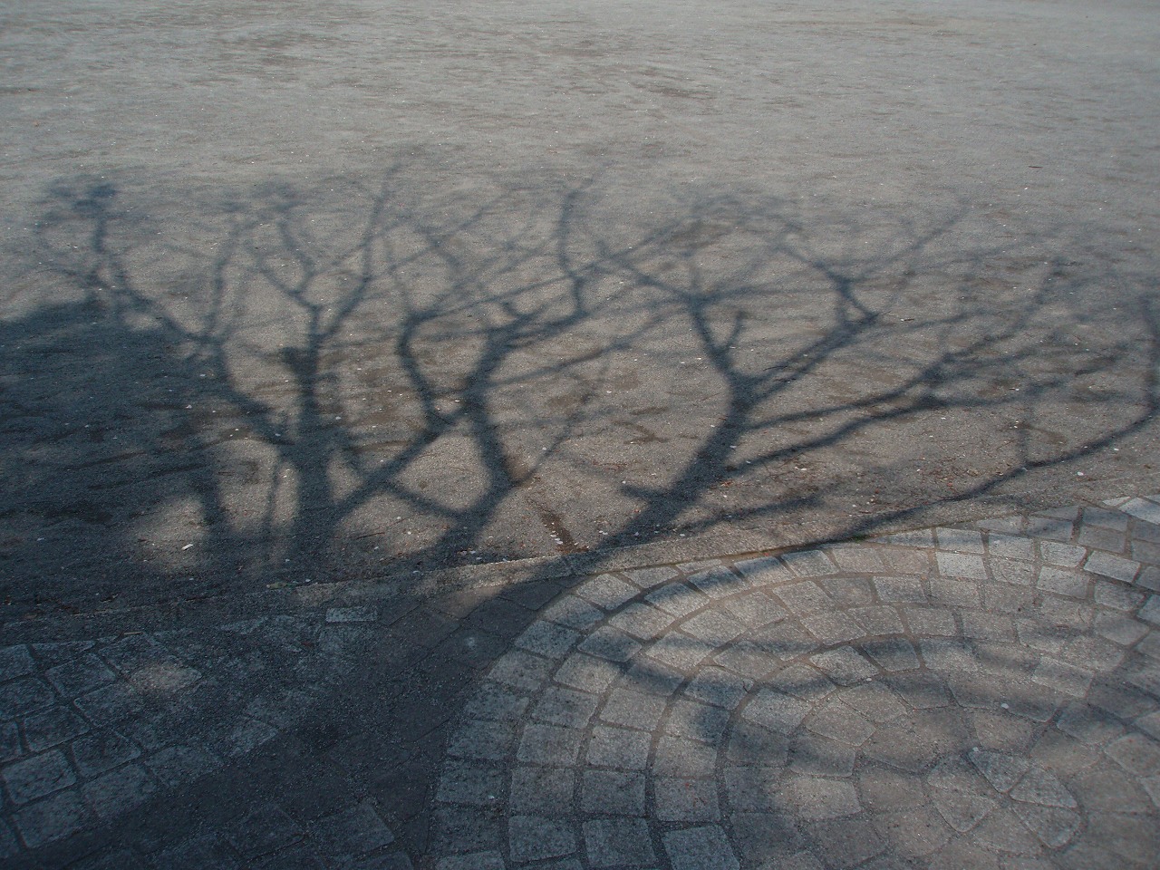 a0103569_2252335.jpg