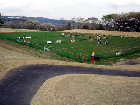 b0060071_1242564.jpg