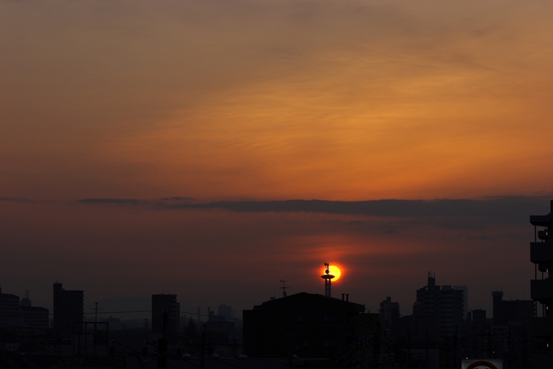 c0030874_175479.jpg