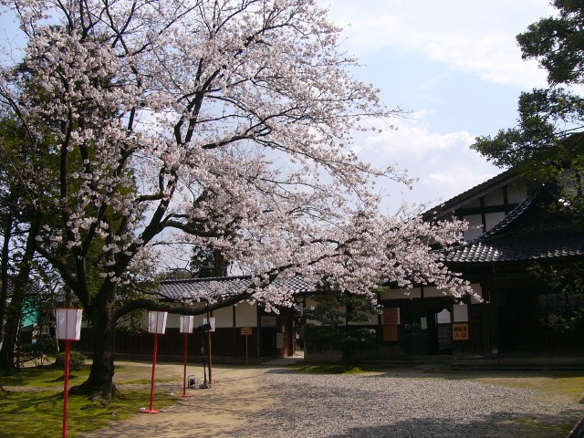 a0096177_17125836.jpg