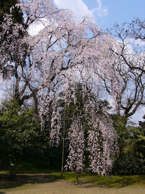 a0096177_17143657.jpg