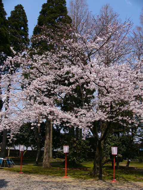 a0096177_17145276.jpg