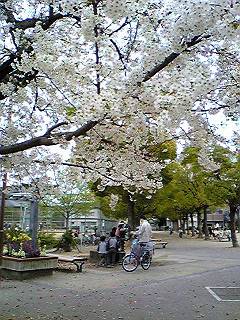f0001378_20462323.jpg